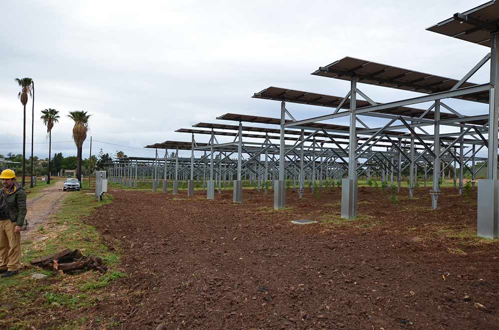 Apertura del convegno agrivoltaico a Terrasini - AIAS e LAND Impresa Sociale