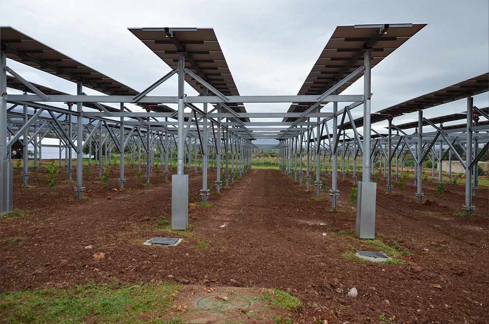 Relatori al convegno agrivoltaico di Terrasini - sviluppo sostenibile e innovazione