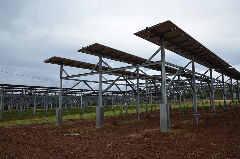 Networking al convegno agrivoltaico - scambio tra professionisti del settore