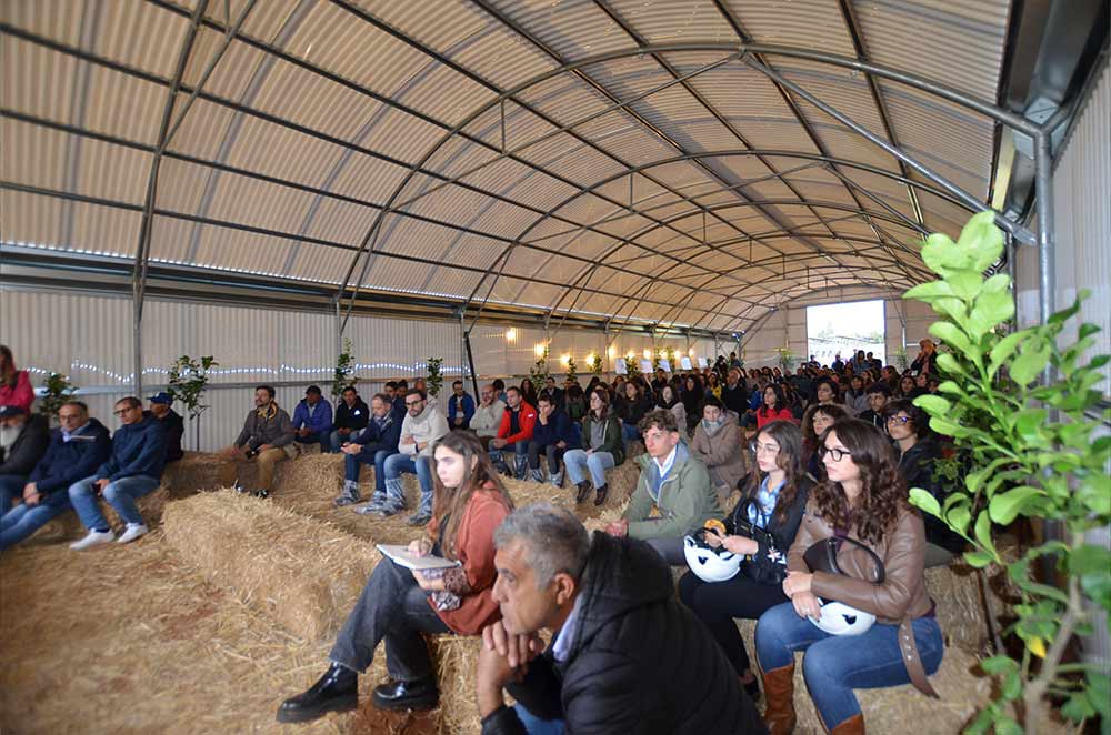 Vista dell'impianto agrivoltaico LAND a Terrasini durante il convegno