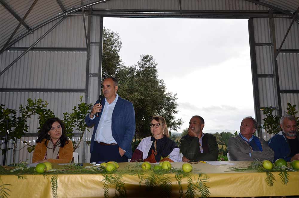 Visita guidata all'impianto agrivoltaico LAND durante il convegno a Terrasini