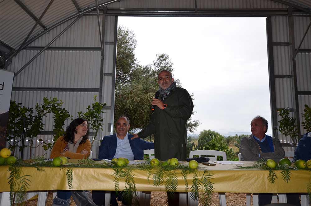 Tavola rotonda al convegno agrivoltaico Terrasini - innovazione sostenibile per la Sicilia