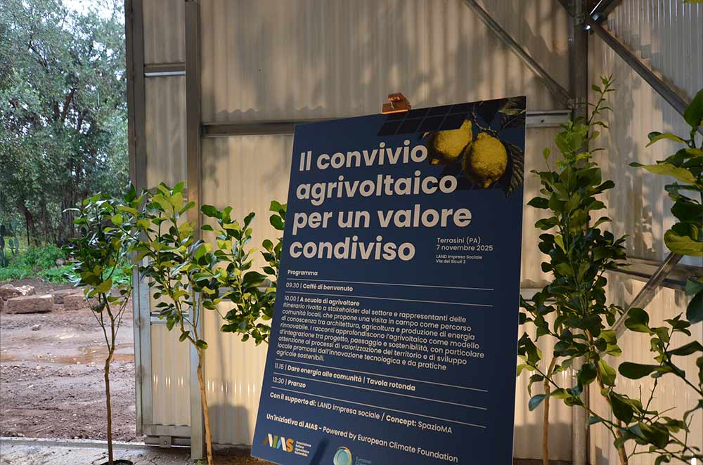 Percorso in campo al convegno agrivoltaico LAND Terrasini - integrazione pannelli solari e colture